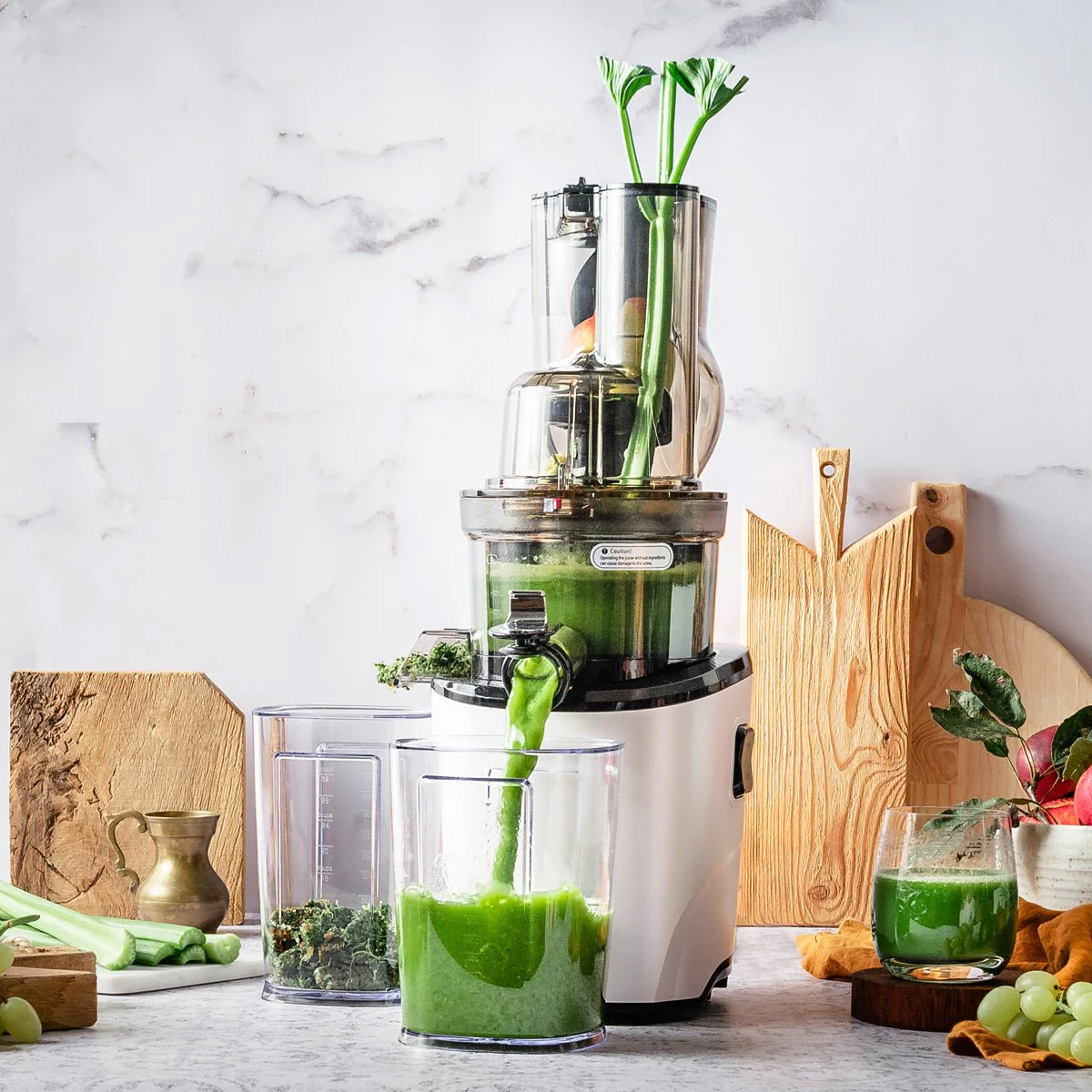 REVO830 WHOLE SLOW JUICER - Image 3